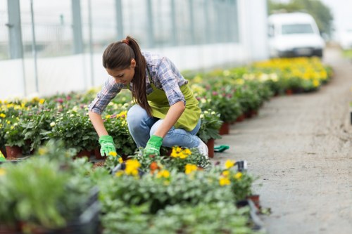 Gardener using pruning tools in a Sidcup garden
