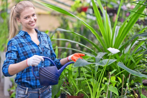 The image depicts a young woman with long blond hair smiling while standing in a well-maintained garden. She is wearing a blue and black plaid shirt, light blue jeans, and orange gardening gloves. She is holding a blue watering can, watering a potted plant with broad, dark green leaves and a single white flower. Behind her, there are various lush green plants, including tall grasses and flowering shrubs, arranged along a garden border. The garden features a mix of natural soil beds and paved pathways, with some potted plants placed nearby. The scene appears to be outdoors on a bright, sunny day, with natural light illuminating the vibrant green foliage and the woman's cheerful expression. This setting aligns well with gardening and lawn care services offered by Lawn Mowing Sidcup, emphasizing professional outdoor maintenance and plant care in a typical landscaped garden environment within Sidcup.