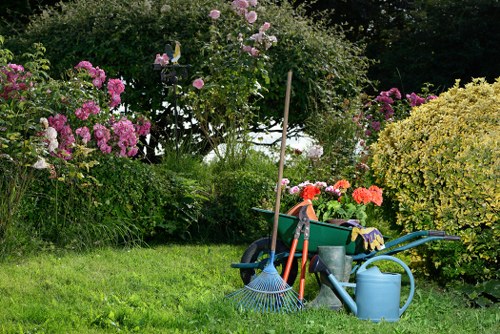Community engagement by Lawn Mowing Sidcup