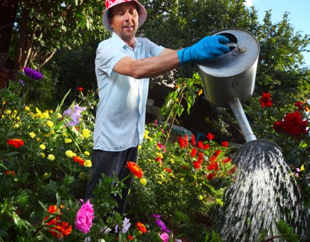 Variety of essential gardening tools for maintenance