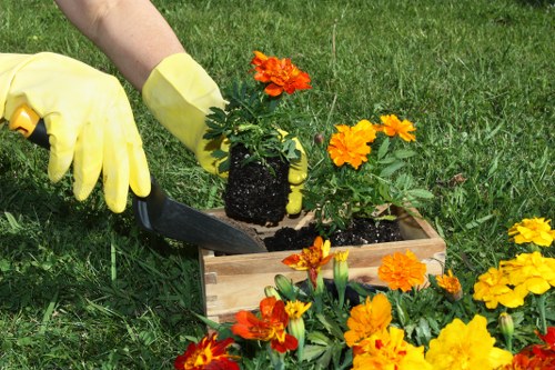 Eco-friendly landscaping solutions in Sidcup