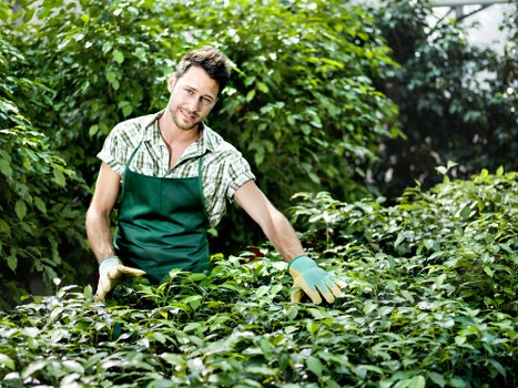 Garden planning and layout design in Sidcup