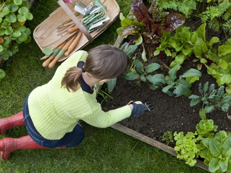 Eco-friendly lawn mowing practices in Sidcup garden