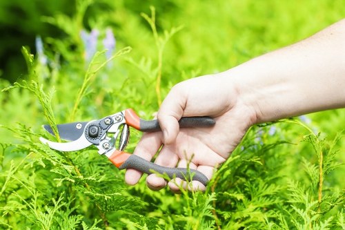 Garden maintenance activities in Sidcup ensuring vibrant landscape