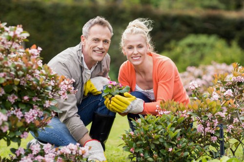 Team at Lawn Mowing Sidcup providing quality service