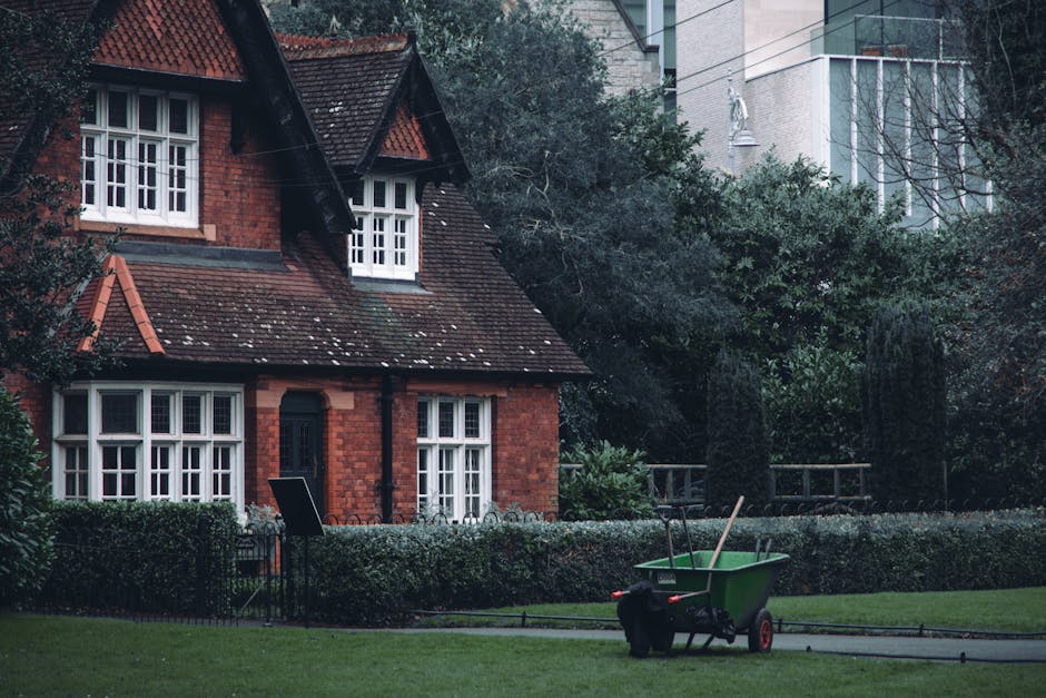A man wearing glasses, a dark hoodie, and jeans is performing garden maintenance in a backyard. He is using a cordless grass trimmer to cut the lawn, which has patches of freshly trimmed grass and som
